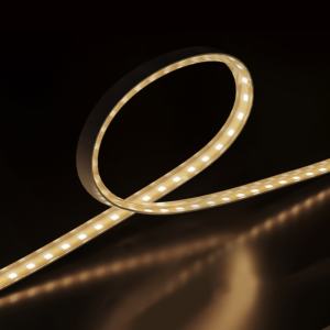 S21 低壓雙色溫燈帶-10M